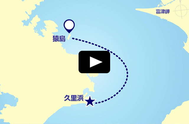 動画：第2章 猿島～久里浜・アシカ島